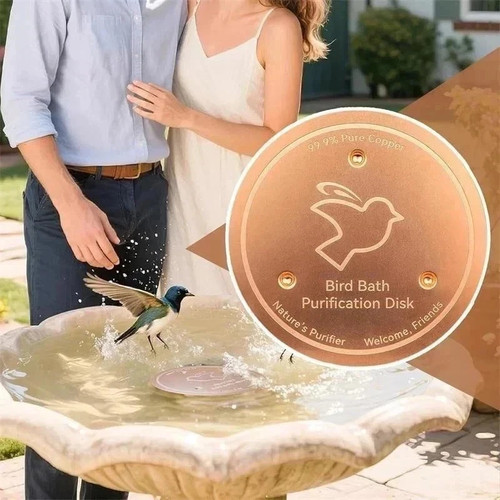 Bird bath copper - bird,