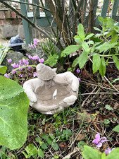 Cupped Hands Bird Bath