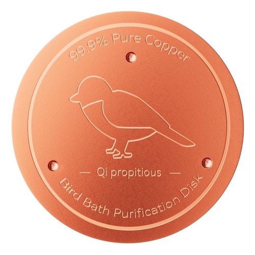 Triple point support - triple-point, bird