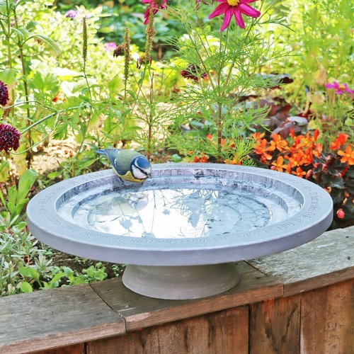 Shenstone theatre bird bath - shenstone,