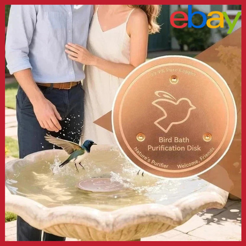 Bird bath copper disk - copper,